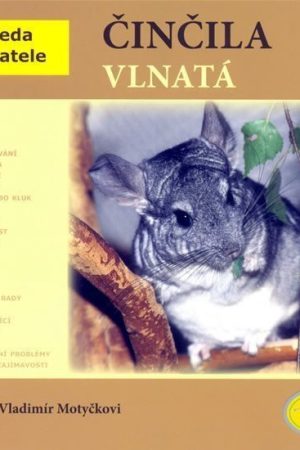 Činčila vlnatá - Abeceda chovatele