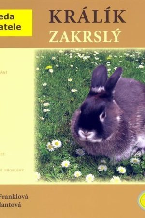 Králík zakrslý - Abeceda chovatele