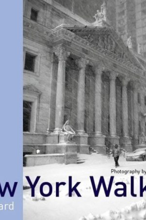 New York Walker in Blizzard (anglicky)