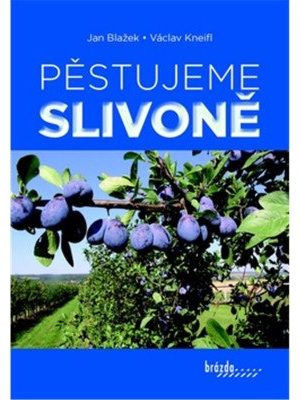 Pěstujeme slivoně