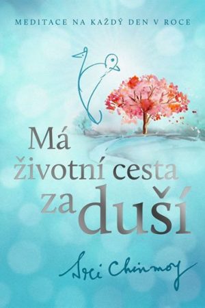 Má životní cesta za duší - Meditace na každý den v roce