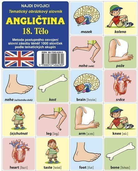 Najdi dvojici - Angličtina - 18. Tělo