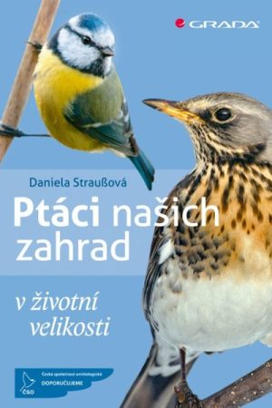Ptáci našich zahrad v životní velikosti