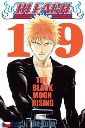 Bleach 19: Black Moon Rising