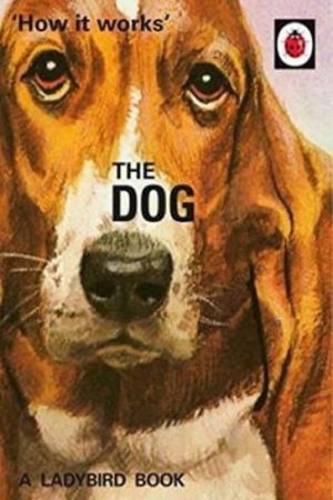 How It Works: The Dog