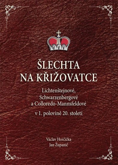 Šlechta na křižovatce - Lichtenštejnové, Schwarzenbergové a Colloredo-Mannsfeldové v 1. polovině 20. století