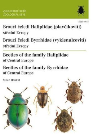 Brouci čeledí plavčíkovití a vyklenulcovití / Beetles of the family Haliplidae and Byrrhidae