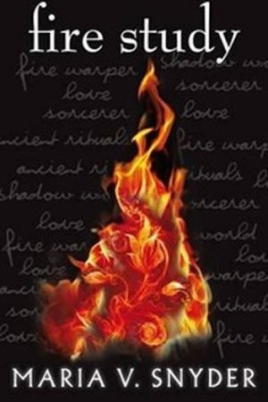 Fire Study