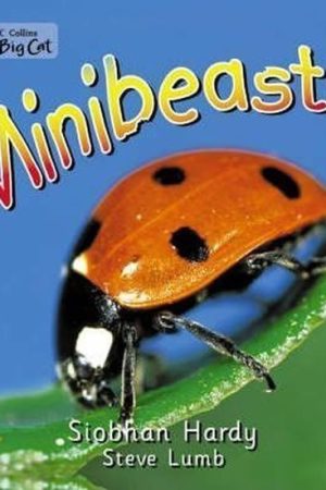 Minibeasts : Band 01a/Pink a