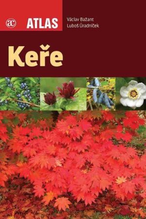 Keře - Atlas
