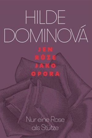 Jen růže jako opora / Nur eine Rose als Stütze