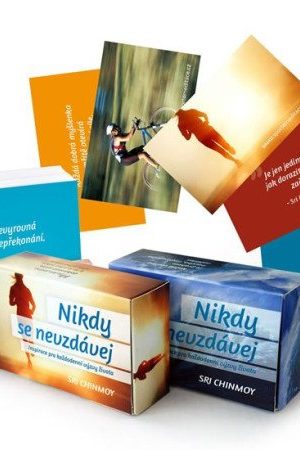 Nikdy se nevzdávej / Inspirace pro každodenní výzvy života - karty s dřevěným stojánkem