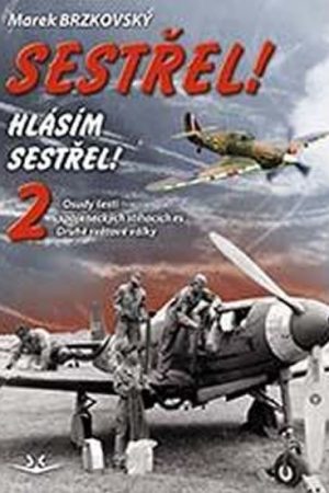 Sestřel! Hlásím sestřel! 2