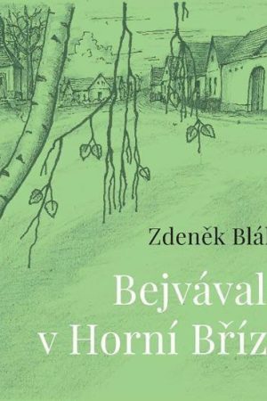 Bejvávalo v Horní Bříze