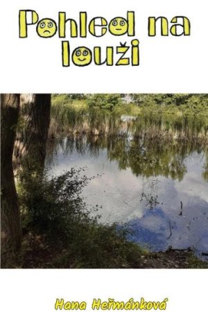 Pohled na louži