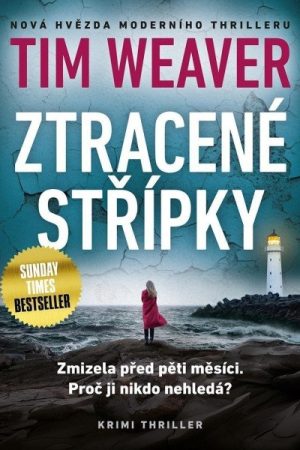 Ztracené střípky