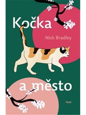 Kočka a město