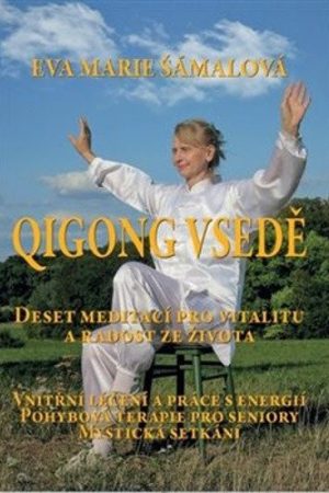 Qigong vsedě - Deset meditací pro vitalitu a radost ze života