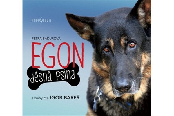 Egon: Děsná psina - CDmp3 (Čte Igor Bareš)