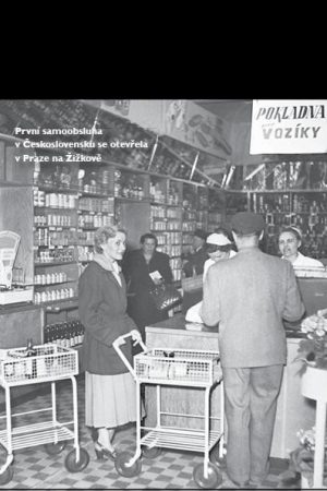 1955 - Jaké to tenkrát bylo aneb Co se stalo v roce, kdy jste se narodili 1955