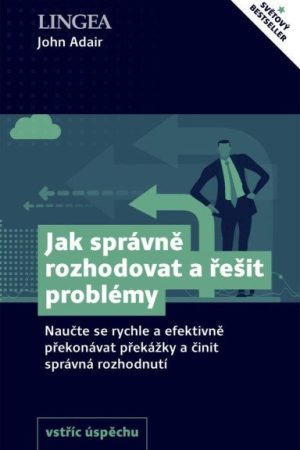 Jak správně rozhodovat a řešit problémy - Naučte se rychle a efektivně překonávat překážky a činit správná rozhodnutí