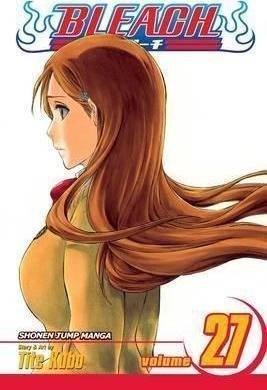 Bleach 27 (anglicky)