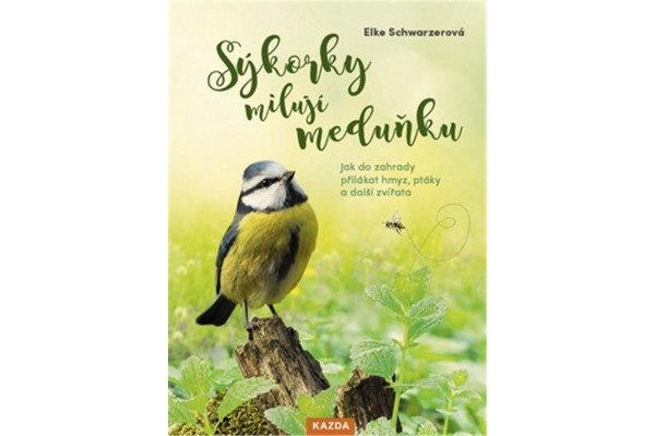 Sýkorky milují meduňku - Jak do zahrady přilákat hmyz, ptáky a další zvířata