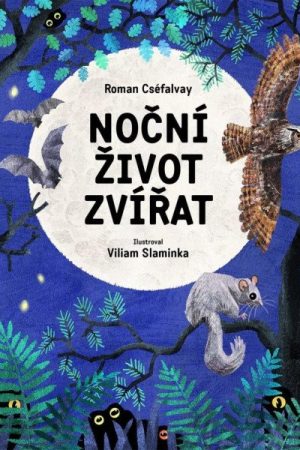 Noční život zvířat