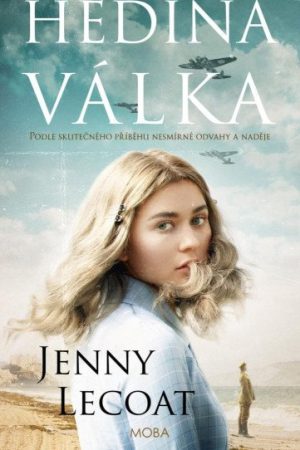 Hedina válka