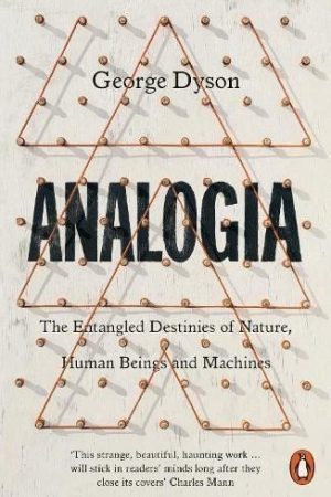Analogia: The Entangled Destinies of Nature, Human Beings and Machines