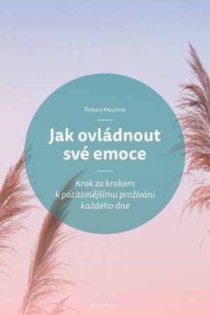 Jak ovládnout své emoce - Krok za krokem k pozitivnějšímu prožívání každého dne