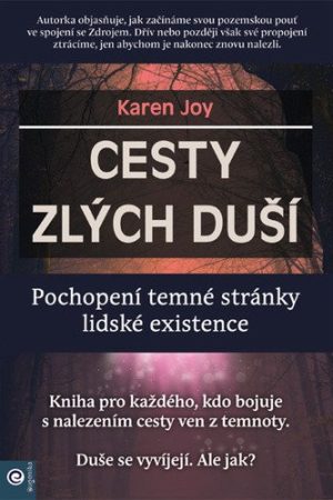 Cesty zlých duší - Pochopení temné stránky lidské existence
