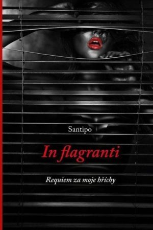 In flagranti - Requiem za moje hříchy
