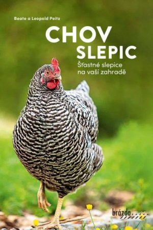 Chov slepic - Šťastné slepice na vaší zahradě
