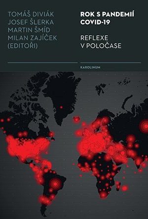 Rok s pandemií covid-19 - Reflexe v poločase