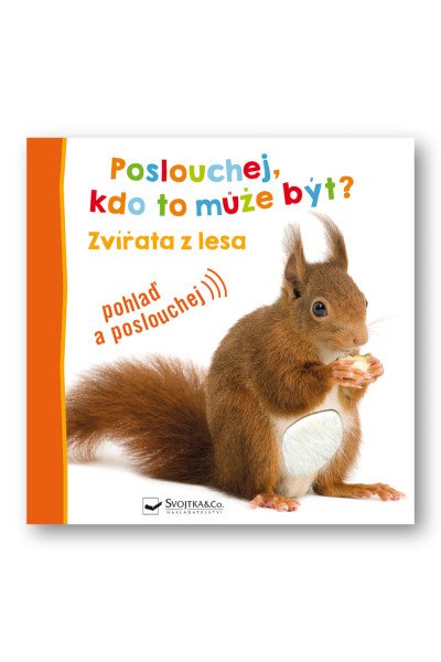 Poslouchej, kdo to může být? Zvířata z lesa
