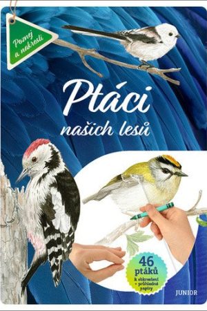 Ptáci našich lesů - 46 ptáků k obkreslení + průhledné papíry