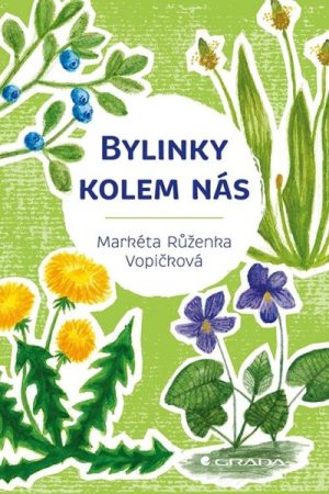 Bylinky kolem nás