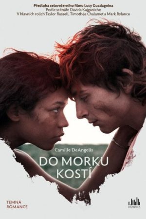 Do morku kostí