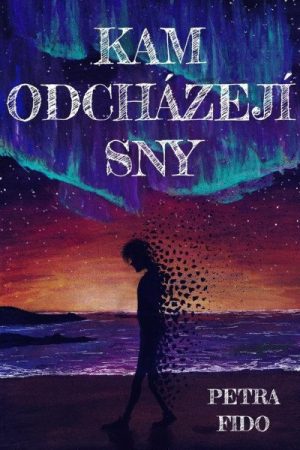 Kam odcházejí sny