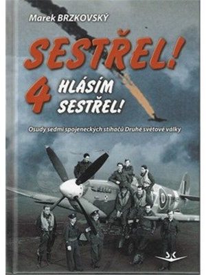 Sestřel! Hlásím sestřel! 4 - Osudy sedmi spojeneckých stíhačů Druhé světové války