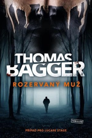 Rozervaný muž