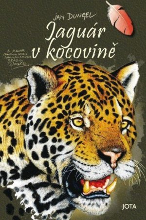 Jaguár v kocovině