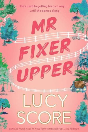Mr Fixer Upper: the new romance from the bestselling Tiktok sensation!