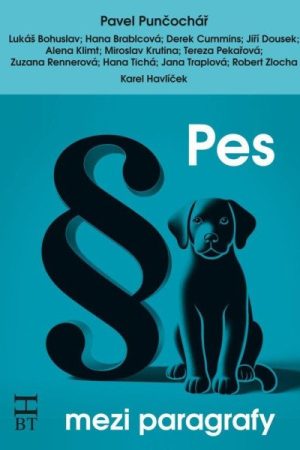 Pes mezi paragrafy