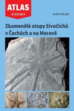 Zkamenělé stopy živočichů v Čechách a na Moravě