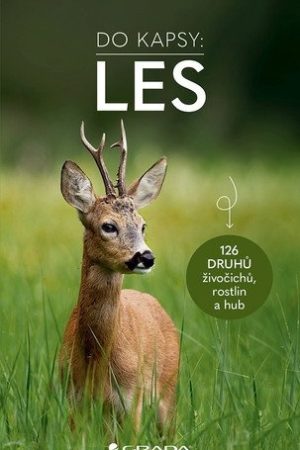 Les Do kapsy - 126 živočichů, rostlin a hub