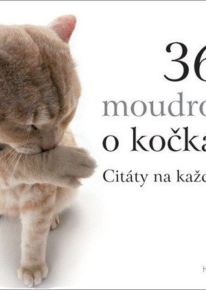 365 moudrostí o kočkách