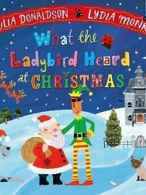 What the Ladybird Heard at Christmas: The Perfect Christmas Gift