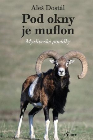 Pod okny je muflon